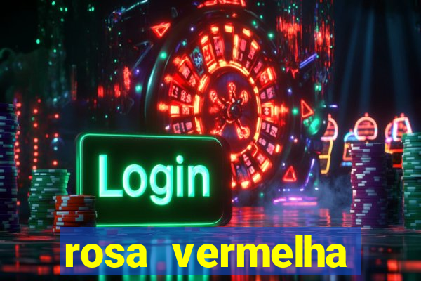 rosa vermelha (letra e cifra)